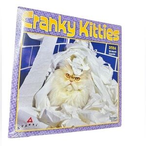 2024 Cranky Kitties 16-Month Calendar (NWT) 😺